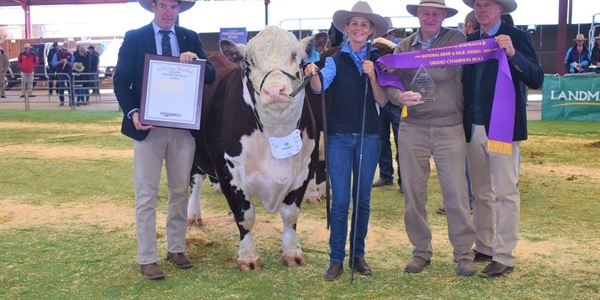 SHINING SUCCESS FOR RAYLEIGH AT DUBBO NATIONAL SHOW