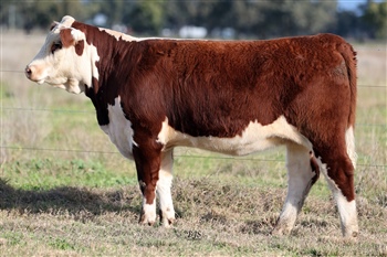 Lot 46 AHCU126