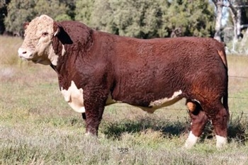 Lot 3 AHCU032 Rayleigh 2025