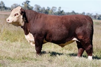 Lot 6 AHCU001 Rayleigh 2025