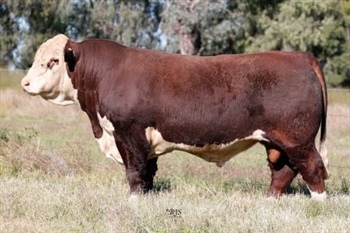 Lot 1 AHCU036 Rayleigh 2025