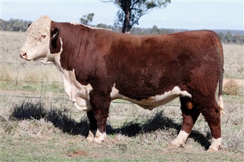 Lot 10