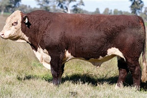 Lot 12 AHCU023 Rayleigh 2025