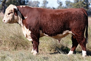 Lot 34 AHCU131 Rayleigh 2025