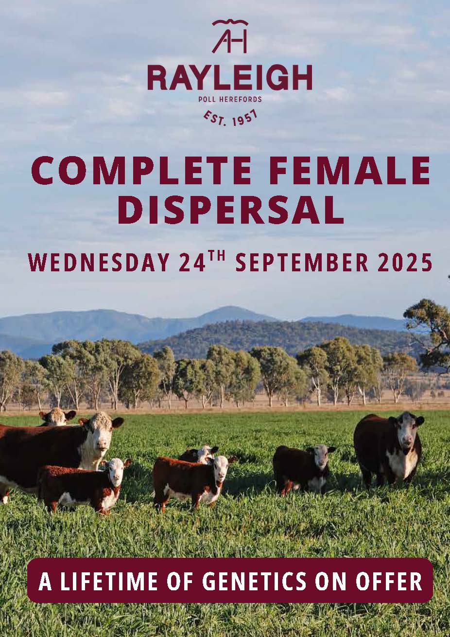 2025 Catalogue